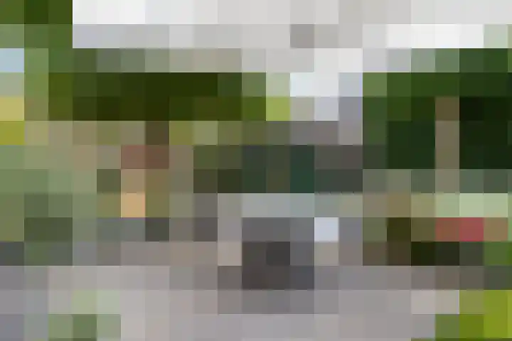 Buitenhof 10 Heeze thumbnail 27