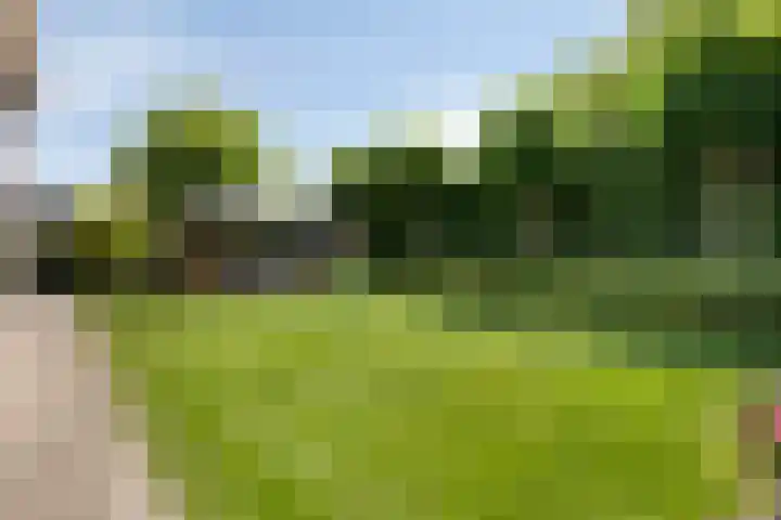 Buitenhof 10 Heeze thumbnail 28