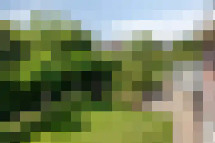 Buitenhof 10 Heeze thumbnail 29