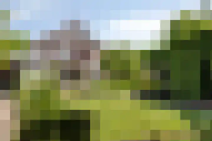 Buitenhof 10 Heeze thumbnail 30
