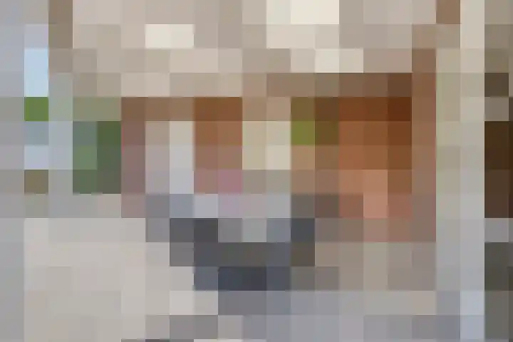 Buitenhof 10 Heeze thumbnail 31
