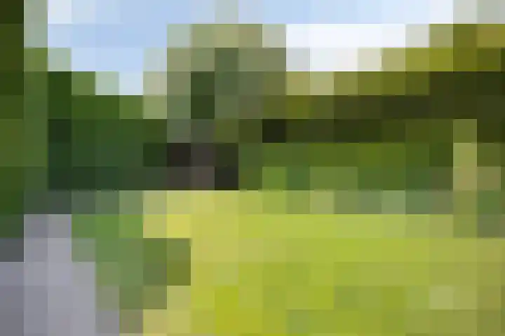 Buitenhof 10 Heeze thumbnail 32
