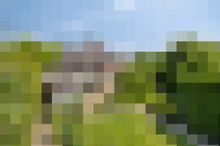 Buitenhof 10 Heeze thumbnail 33