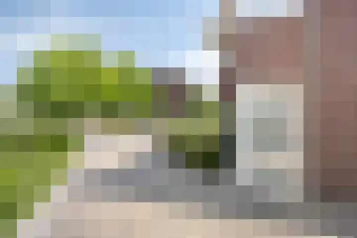 Buitenhof 10 Heeze thumbnail 35