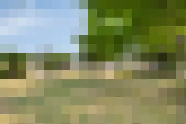 Buitenhof 10 Heeze thumbnail 36