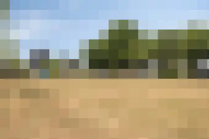 Buitenhof 10 Heeze thumbnail 37