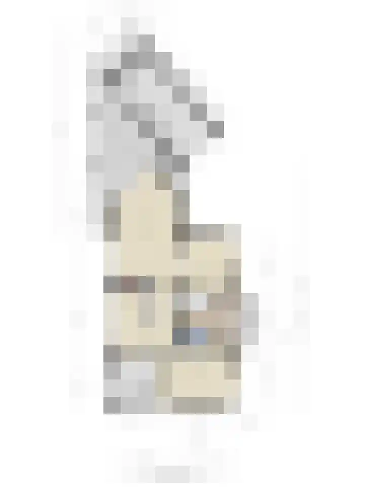 Buitenhof 10 Heeze thumbnail 38