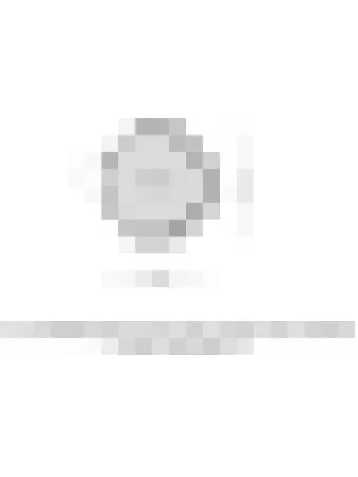 Buitenhof 10 Heeze thumbnail 43