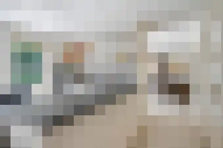 Buitenhof 10 Heeze thumbnail 9