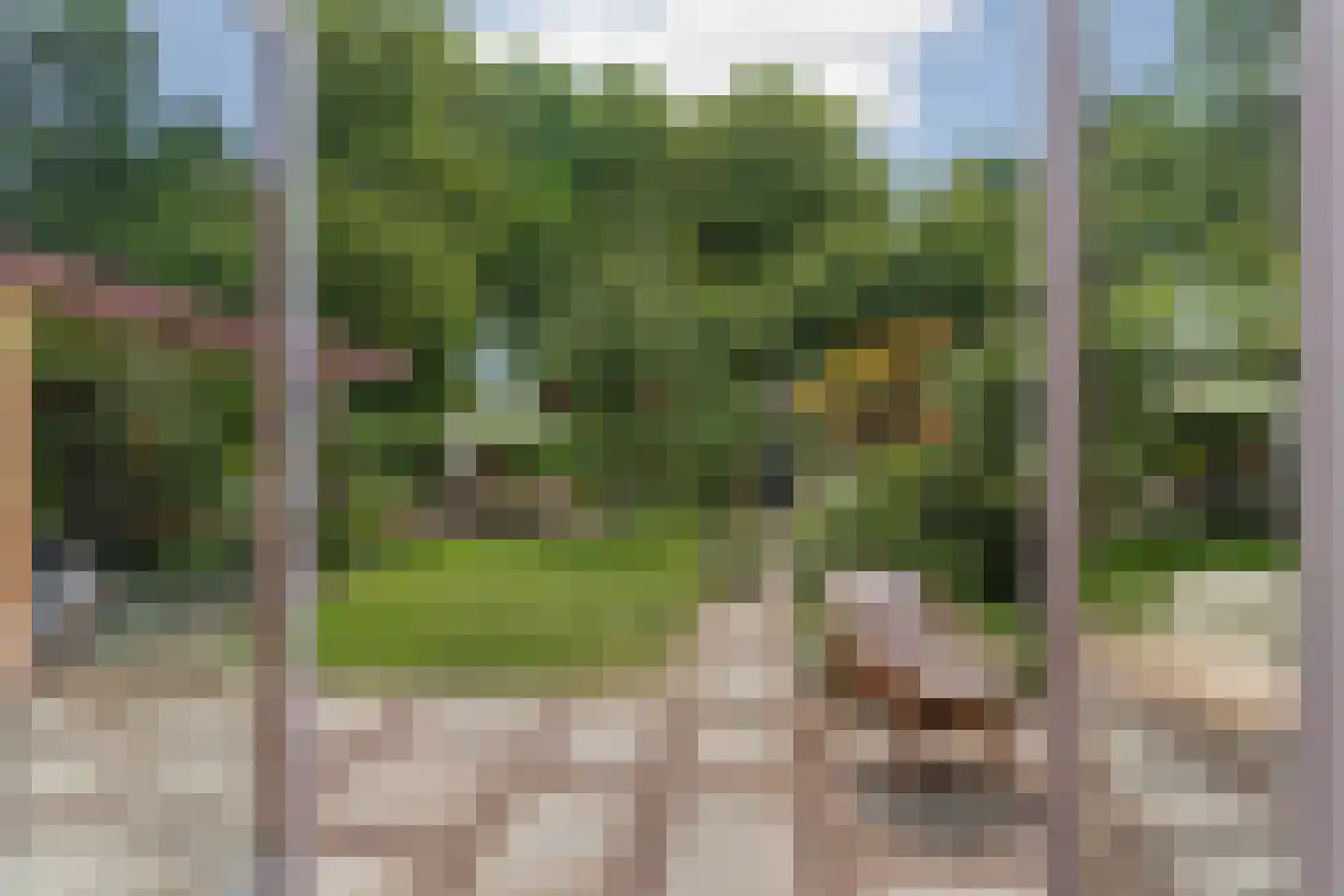 Buitenhof 101 Almere thumbnail 11