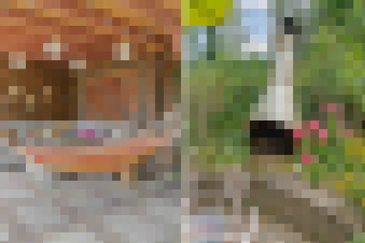 Buitenhof 101 Almere thumbnail 52