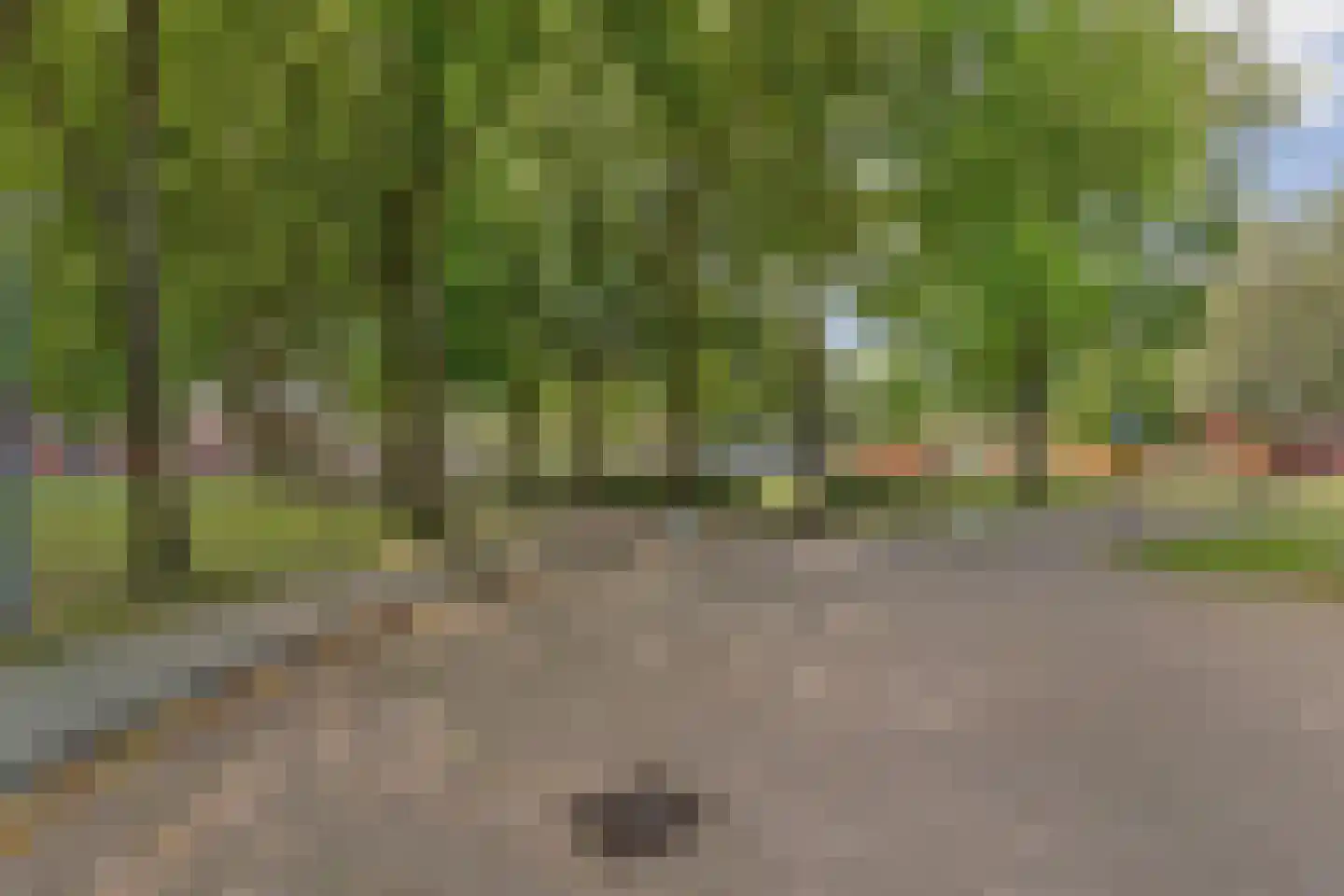 Buitenhof 101 Almere thumbnail 54