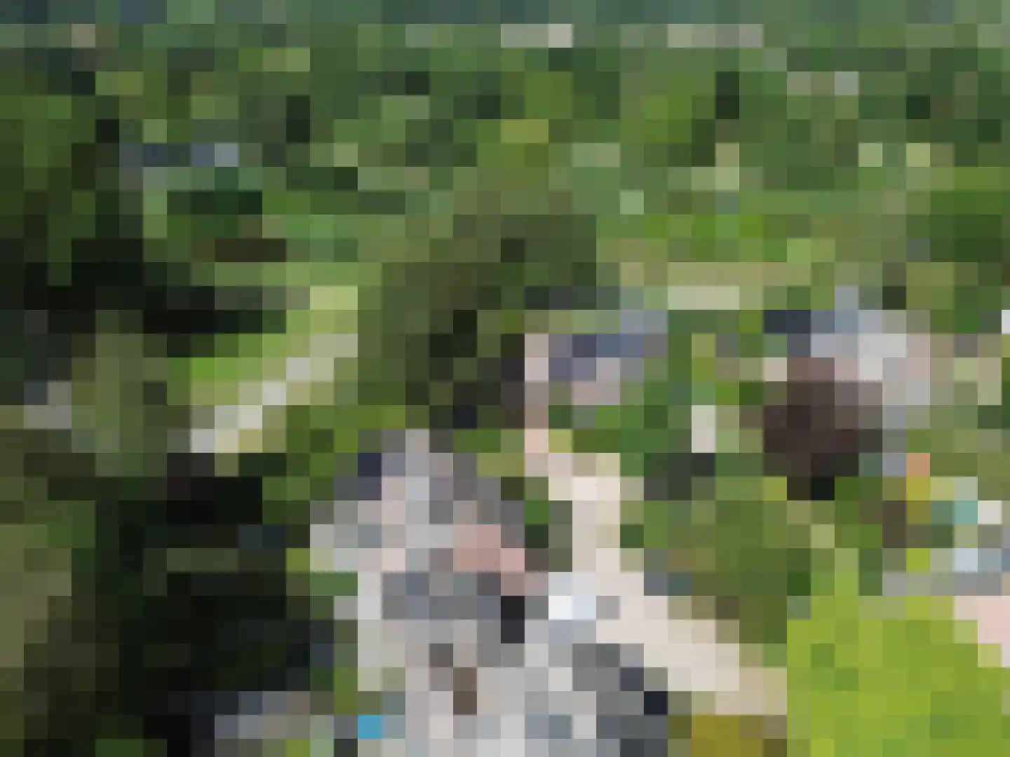Buitenhof 101 Almere thumbnail 64