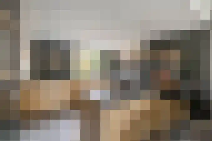 Buitenhof 11 Capelle aan den IJssel thumbnail 14