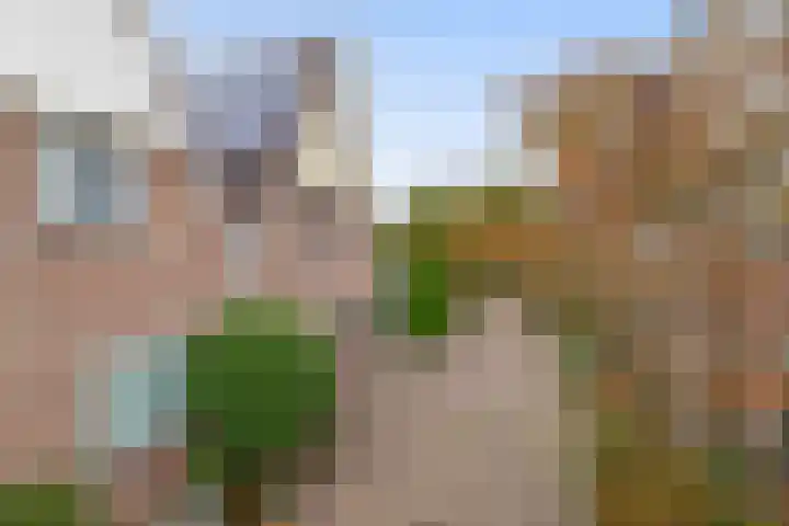 Buitenhof 11 Capelle aan den IJssel thumbnail 27