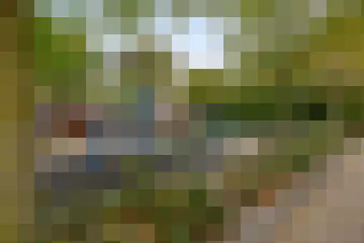Buitenhof 11 Capelle aan den IJssel thumbnail 29
