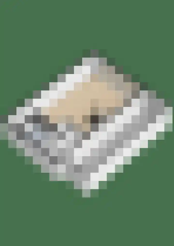 Buitenhof 11 Capelle aan den IJssel thumbnail 33