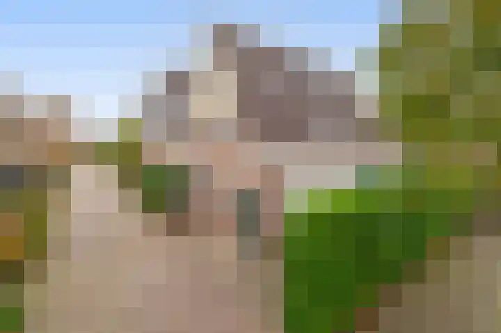 Buitenhof 11 Capelle aan den IJssel thumbnail 6
