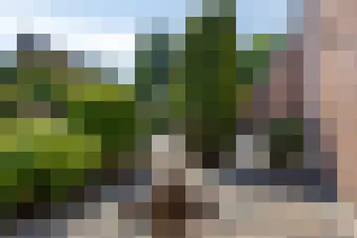 Buitenhof 111 Almere thumbnail 10
