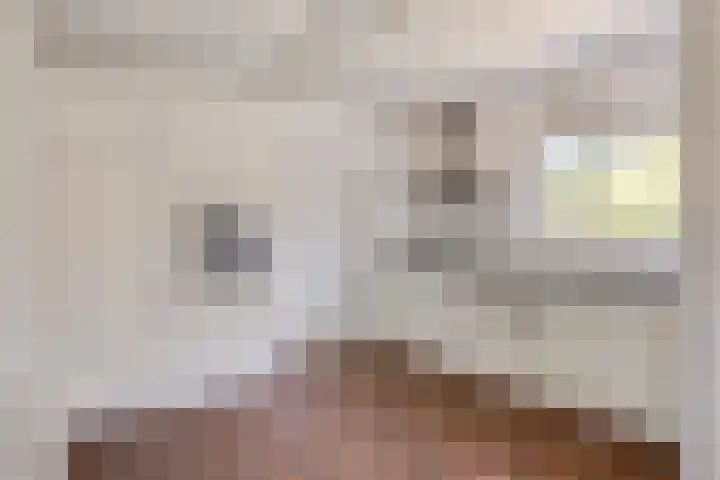 Buitenhof 111 Almere thumbnail 23