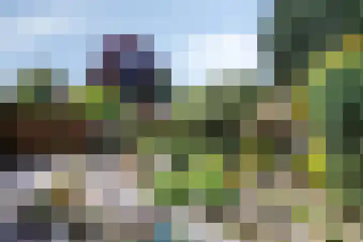 Buitenhof 111 Almere thumbnail 42