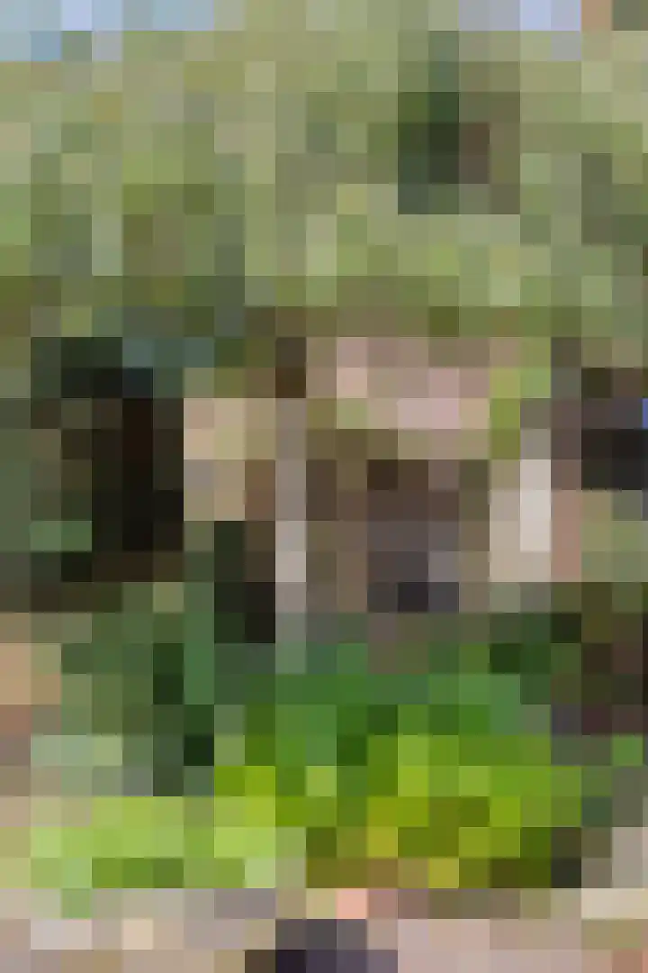 Buitenhof 111 Almere thumbnail 44