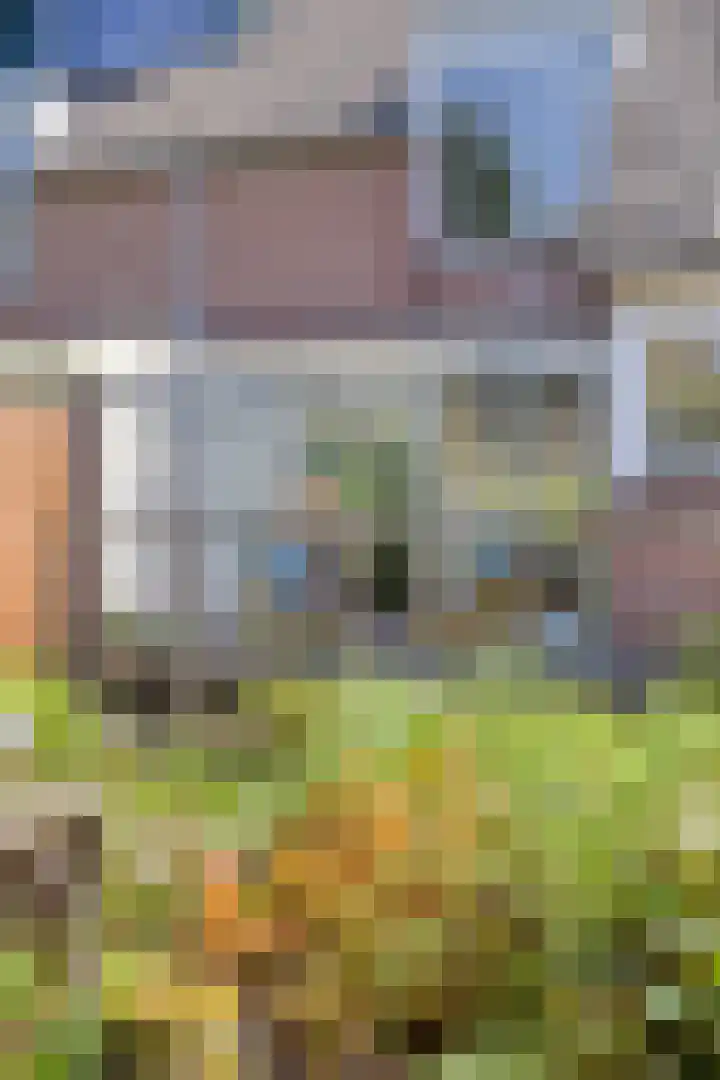 Buitenhof 111 Almere thumbnail 45