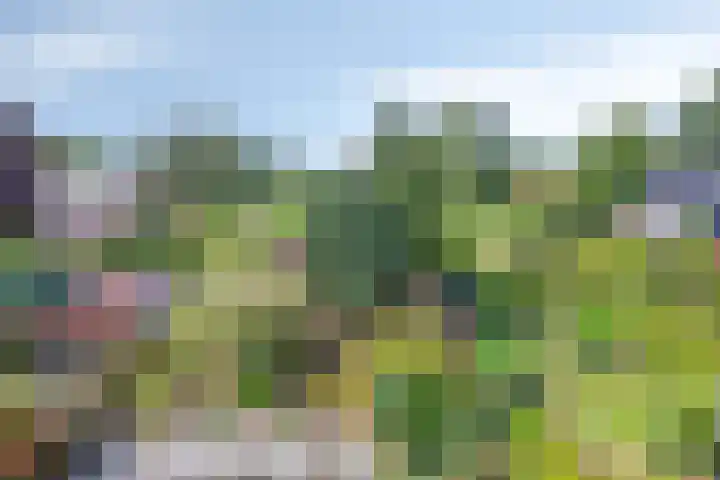 Buitenhof 111 Almere thumbnail 48