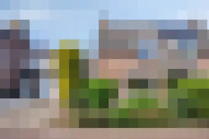Buitenhof 111 Almere thumbnail 5
