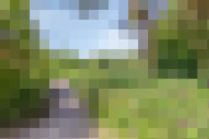 Buitenhof 111 Almere thumbnail 51