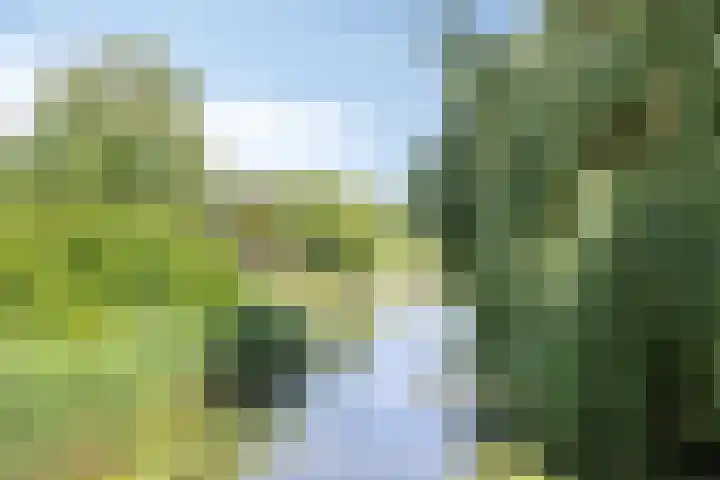 Buitenhof 111 Almere thumbnail 52