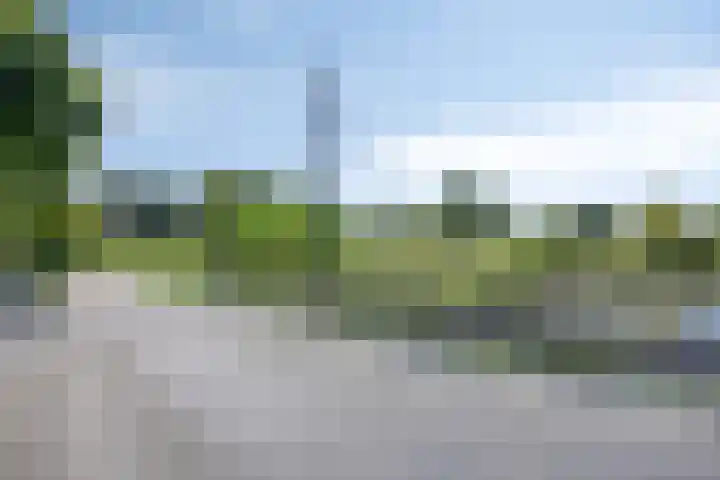 Buitenhof 111 Almere thumbnail 53