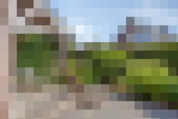 Buitenhof 111 Almere thumbnail 9
