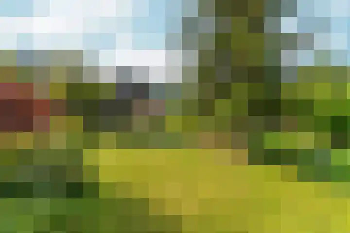 Buitenhof 122 Almere thumbnail 4