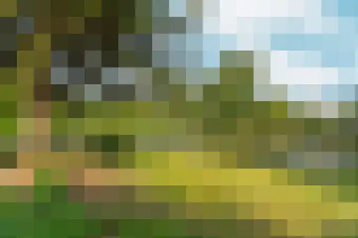 Buitenhof 122 Almere thumbnail 44