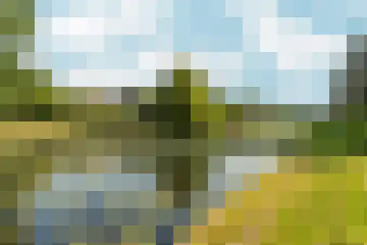 Buitenhof 122 Almere thumbnail 45