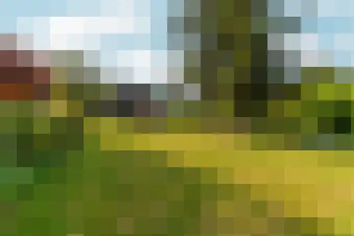 Buitenhof 122 Almere thumbnail 46