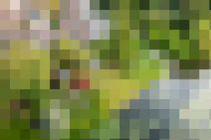 Buitenhof 122 Almere thumbnail 5