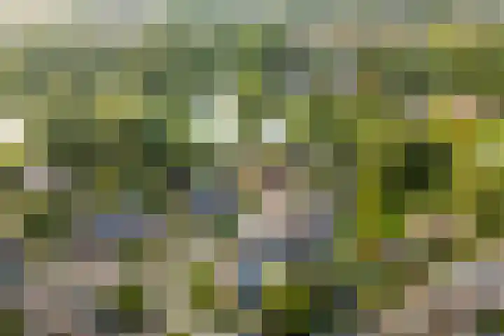 Buitenhof 122 Almere thumbnail 52