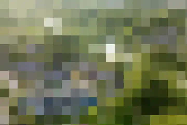 Buitenhof 122 Almere thumbnail 54