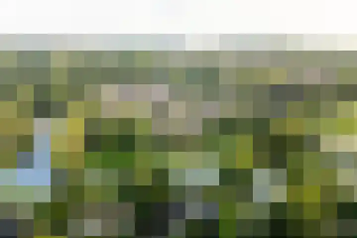 Buitenhof 122 Almere thumbnail 55