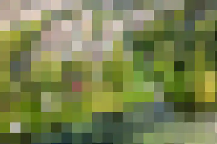 Buitenhof 122 Almere thumbnail 7