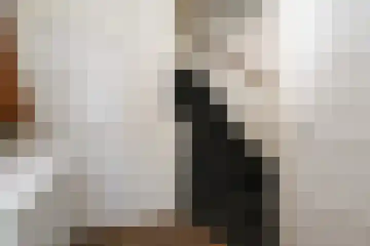 Buitenhof 13 Oostvoorne thumbnail 11