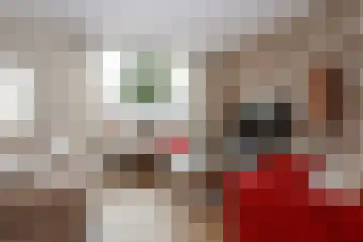 Buitenhof 13 Oostvoorne thumbnail 16