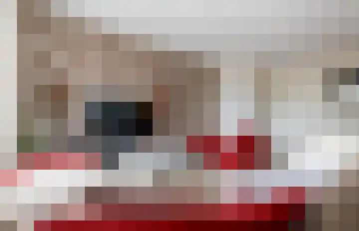 Buitenhof 13 Oostvoorne thumbnail 19