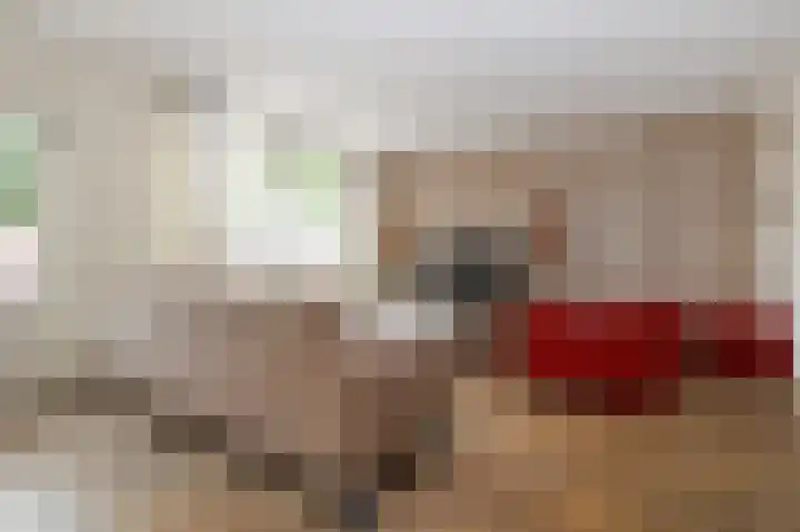 Buitenhof 13 Oostvoorne thumbnail 20
