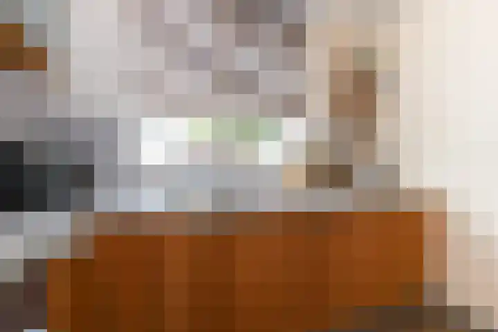 Buitenhof 13 Oostvoorne thumbnail 27