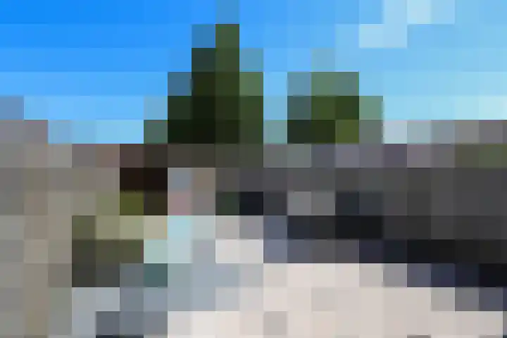 Buitenhof 13 Oostvoorne thumbnail 49