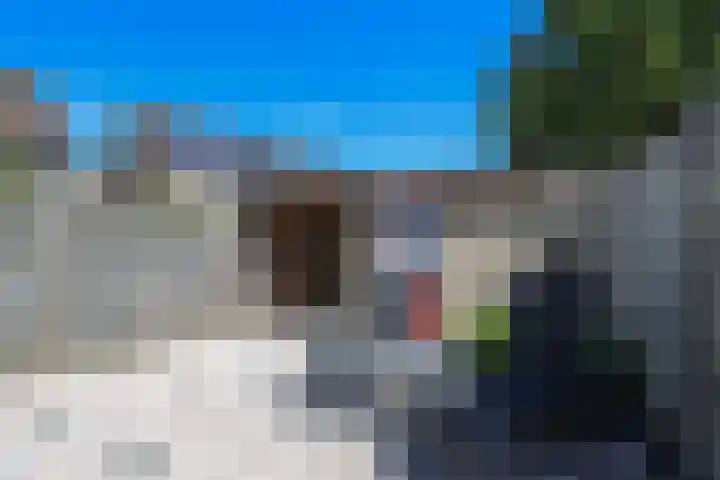 Buitenhof 13 Oostvoorne thumbnail 52