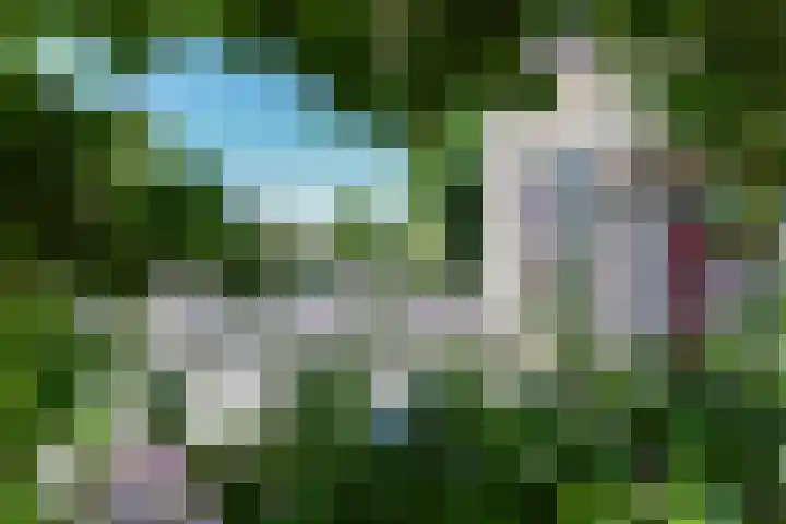 Buitenhof 13 Oostvoorne thumbnail 9